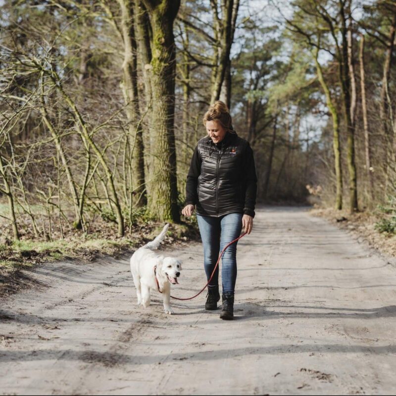 Magnetar Heat Hond wandelen