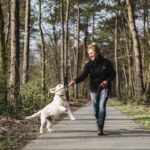 Magnetar Heat Verwarmde Bodywarmer Buiten met Hond Outdoor